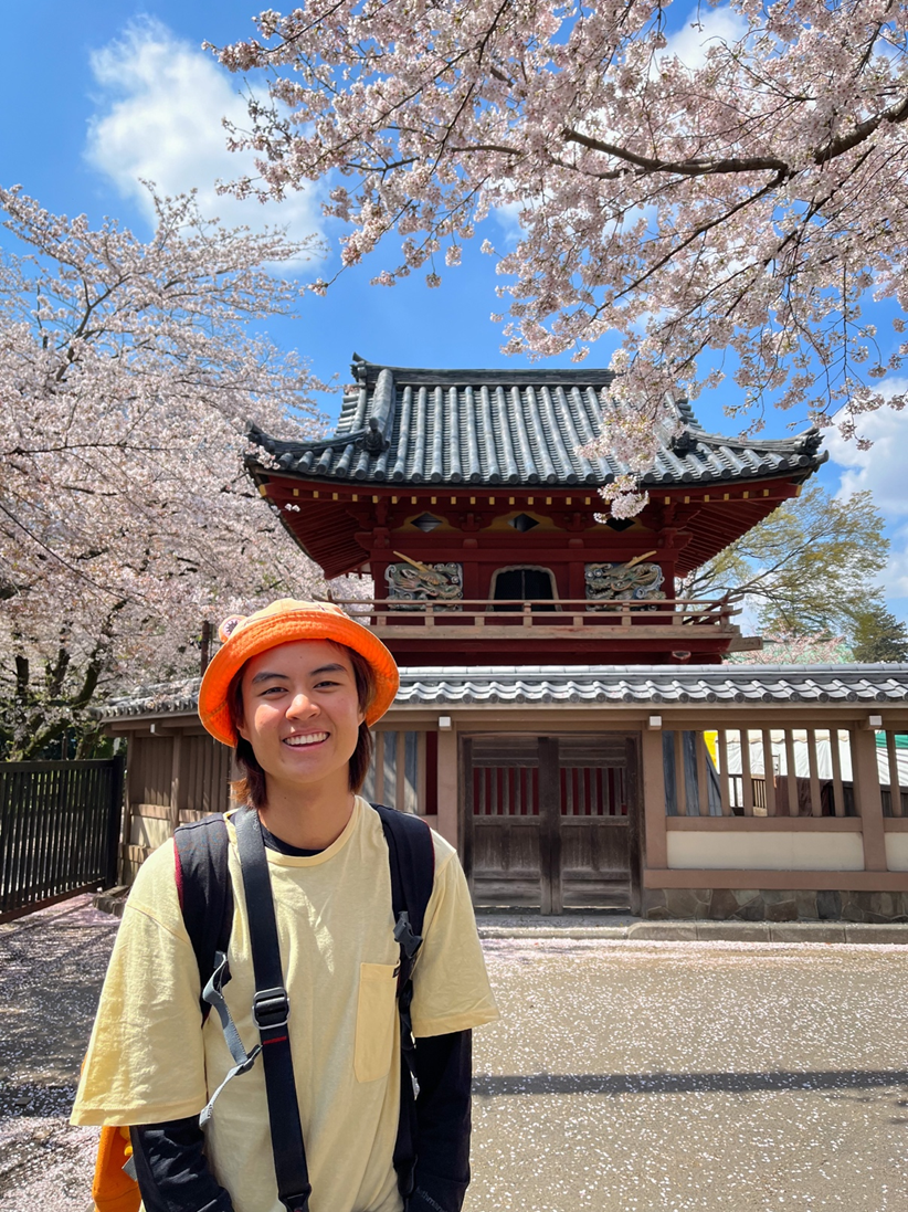 Studying abroad in Tokyo: Sophia University