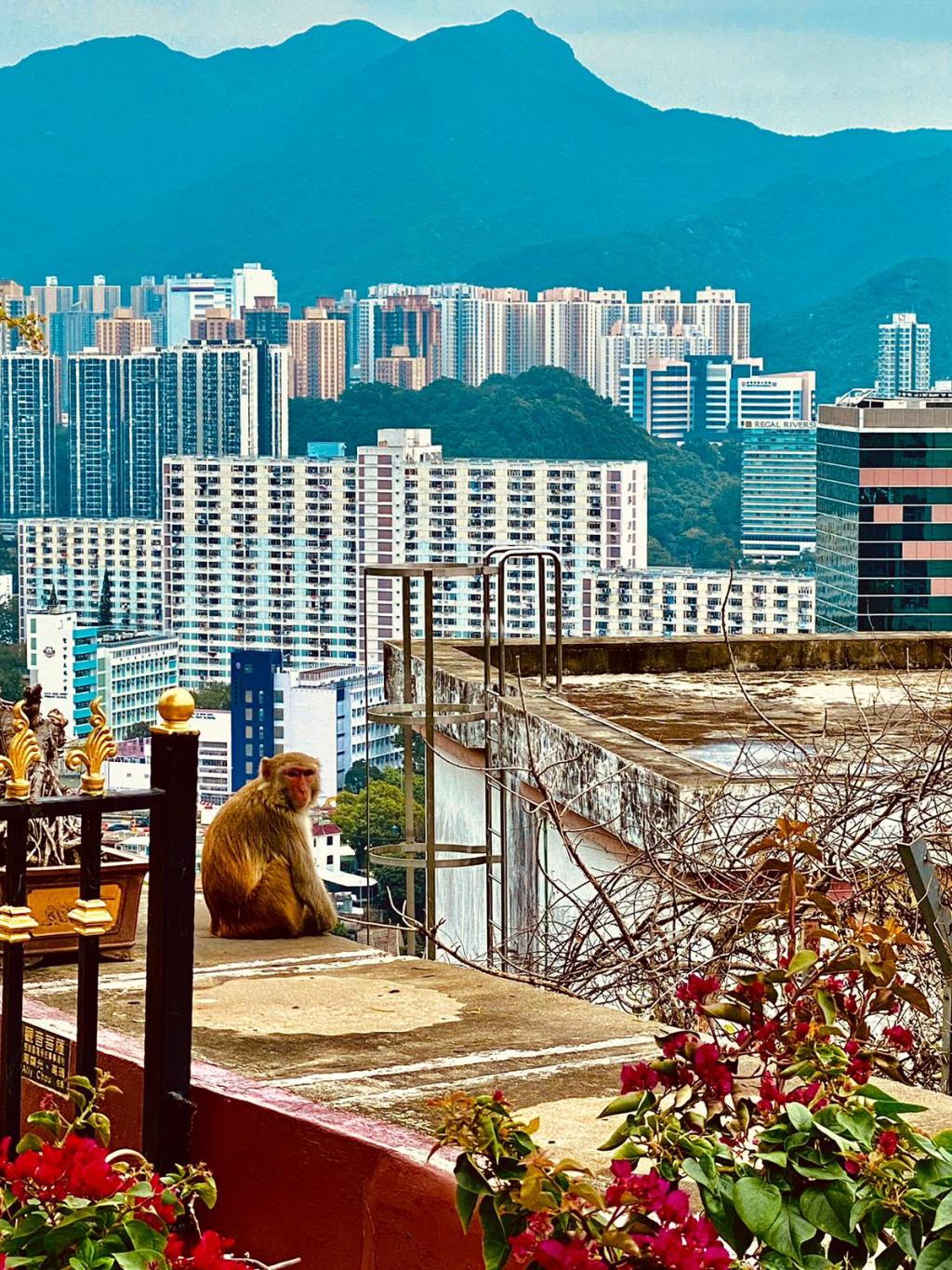 Exchange at City University of Hong Kong