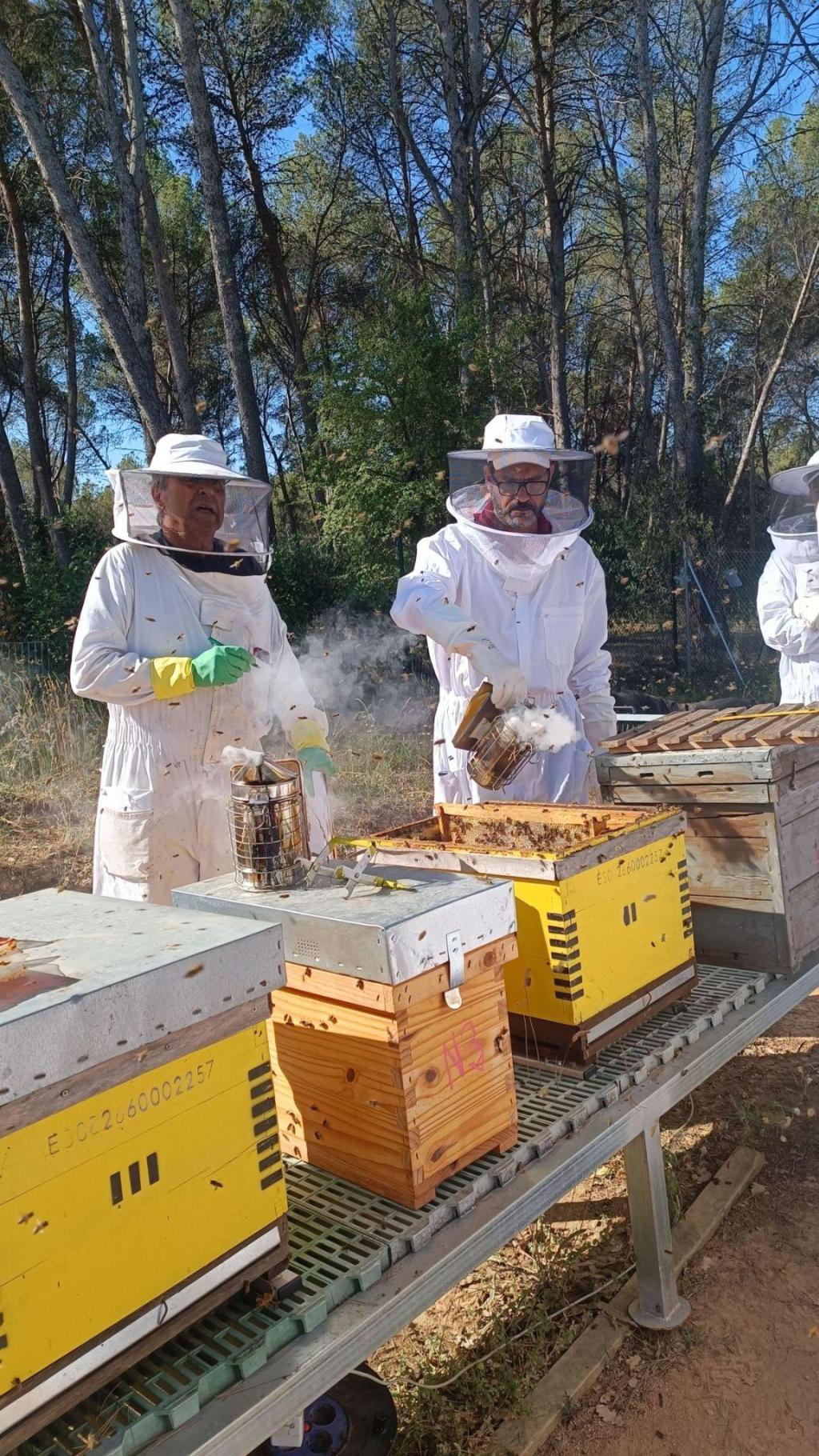 Buzzing with Excitement: My Beeology Adventure in Barcelona!