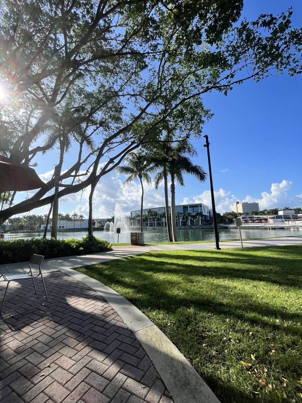Chasing Sunshine and Knowledge: Exploration Beyond Biomedical Engineering at the University of&nbsp;Miami