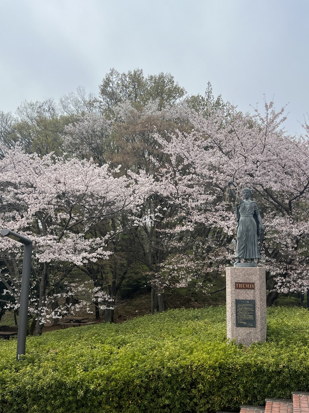 Life as an Exchange Student at Chuo University
