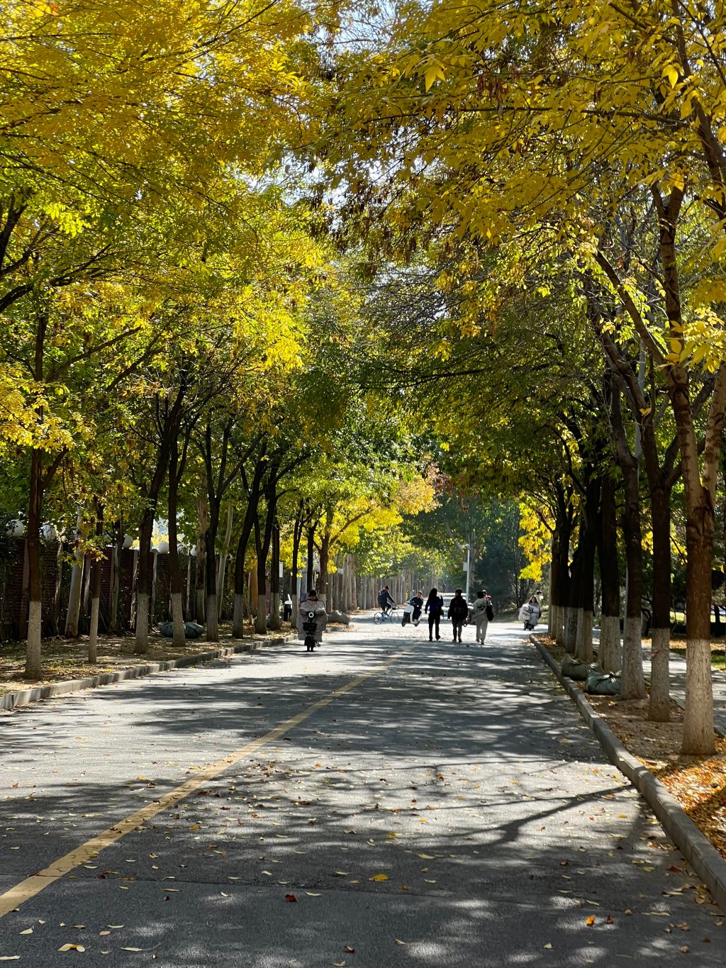 Global Exchange in Beijing Institute of Technology, China
