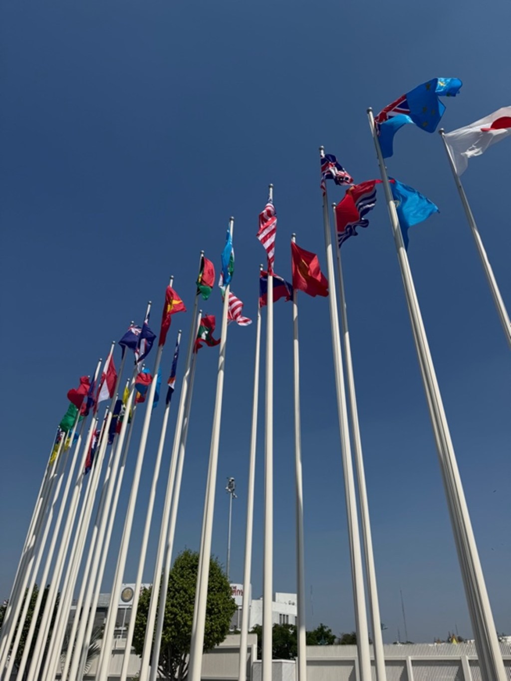 Bridging Borders: My Experience at the HAA 4th Global Peace Summit in Bangkok