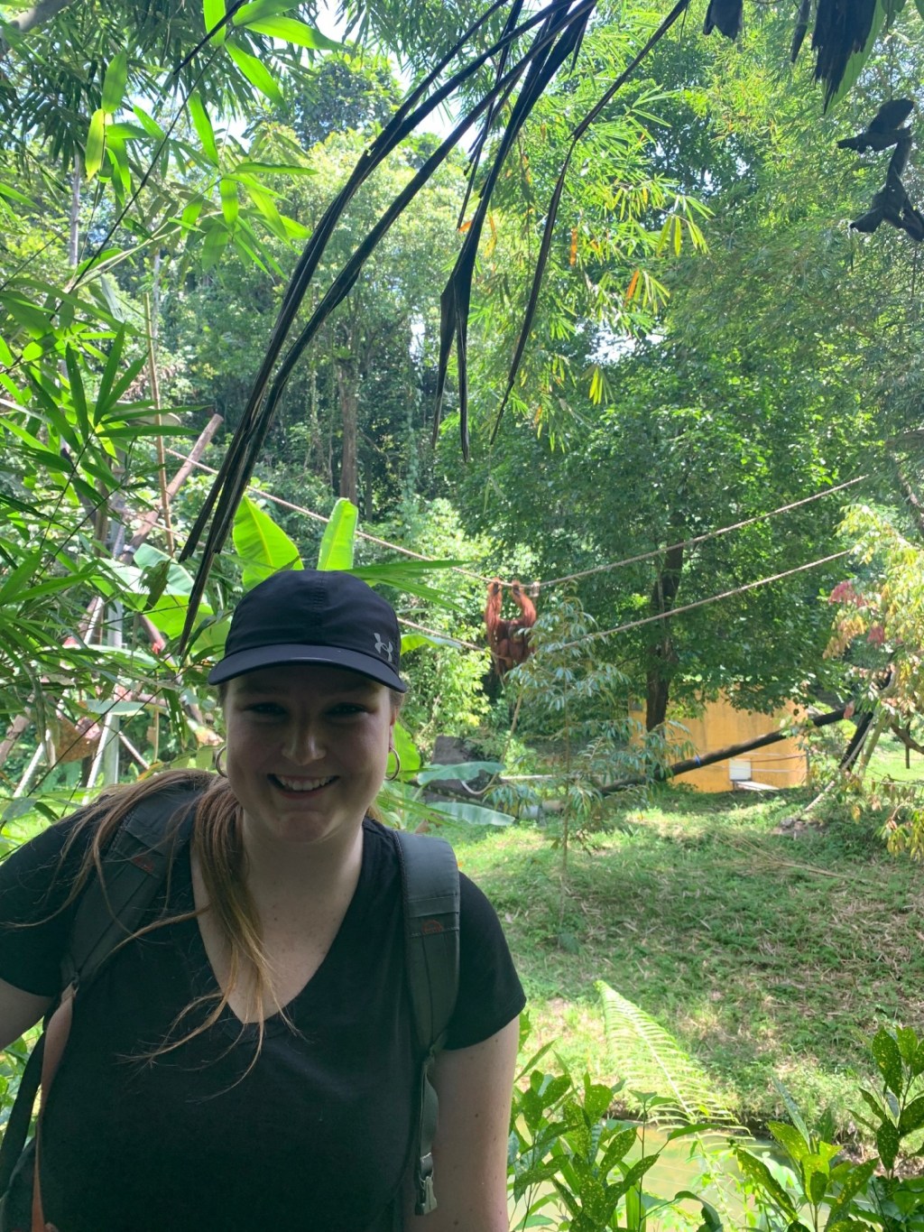 International Internships Indonesia: Environmental&nbsp;Internship