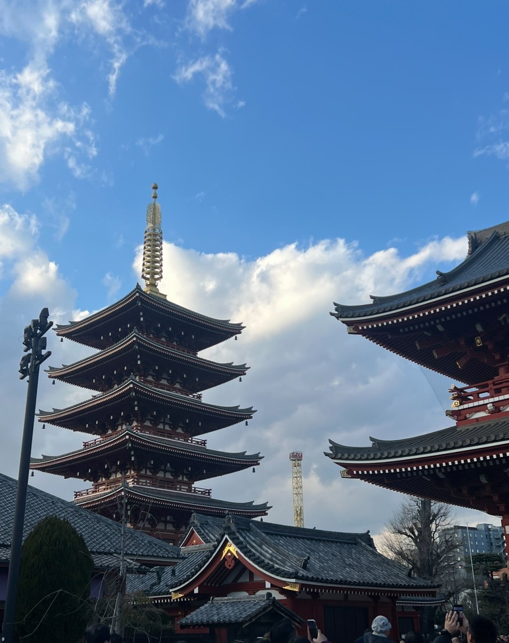 Sencha, Shrines, and Study sessions
